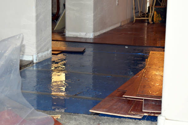 Professional Burst Pipe Cleanup technician working in Amherst, OH